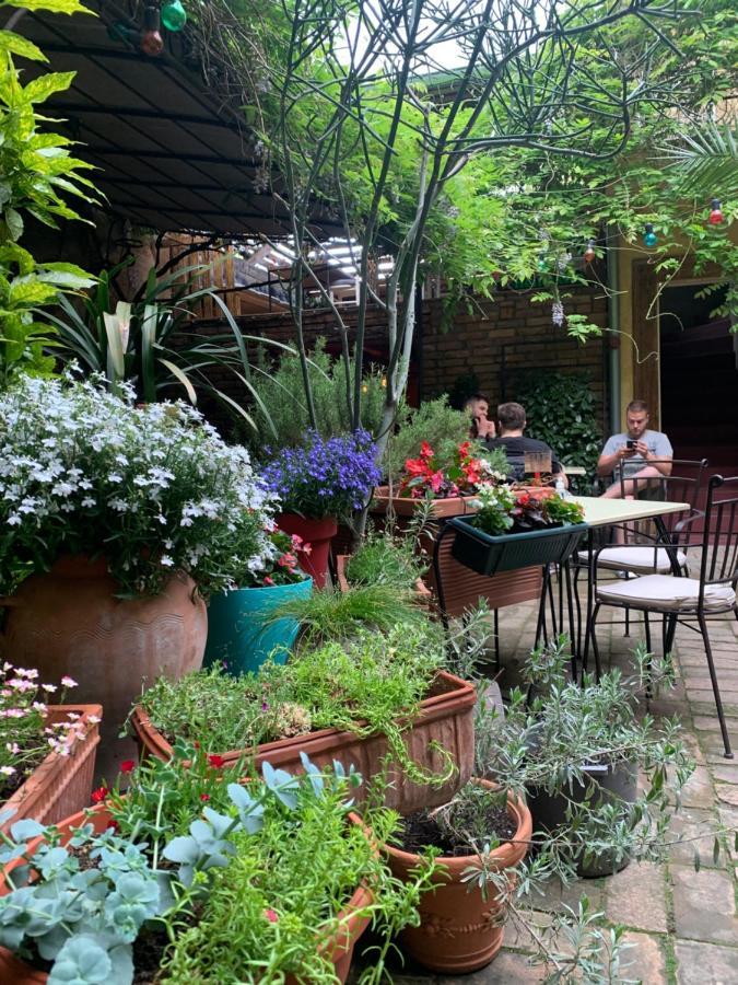 Bed And Breakfast "Caffe-Caffe" Kikinda Zewnętrze zdjęcie